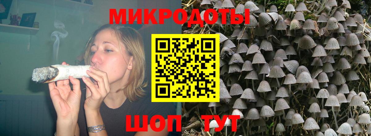 Галлюциногенные грибы мицелий Курчалой